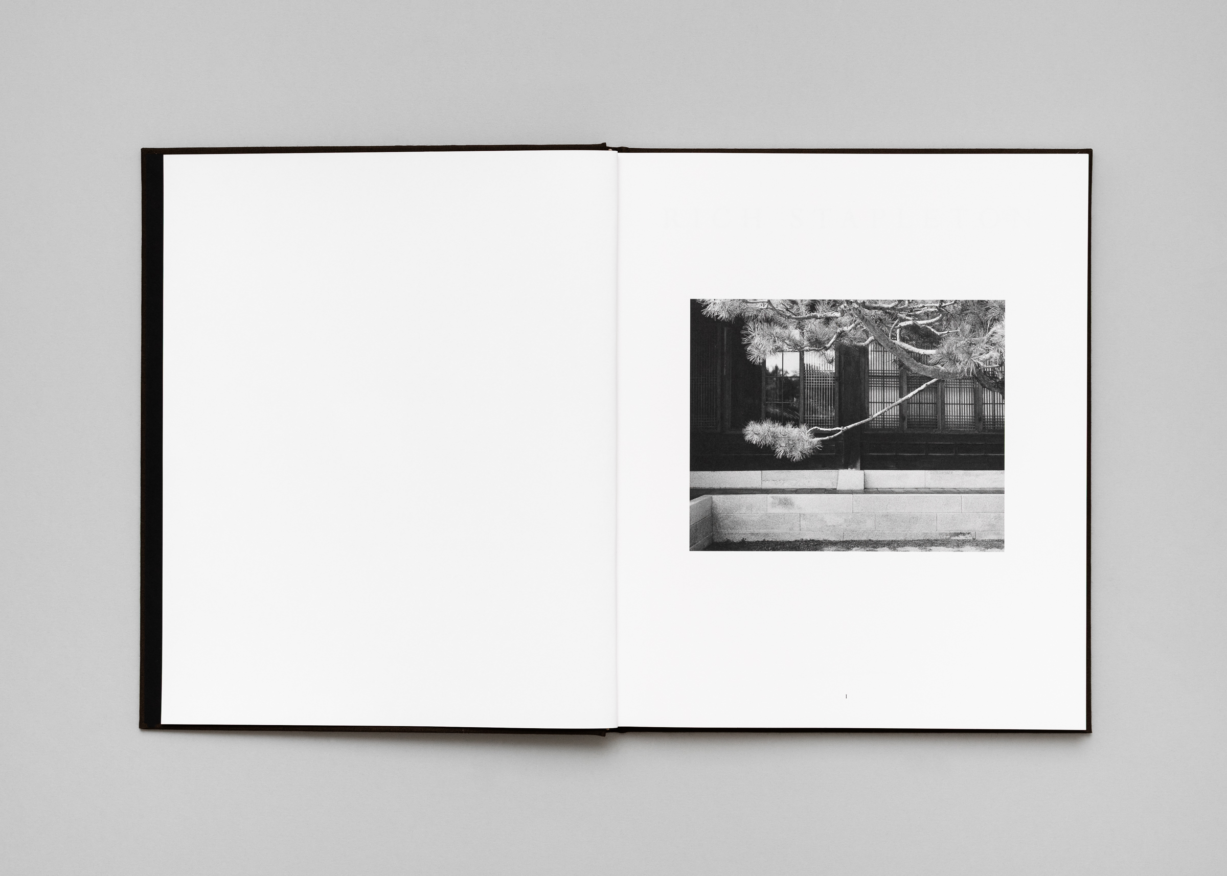 Rich Stapleton — Penumbra — Book