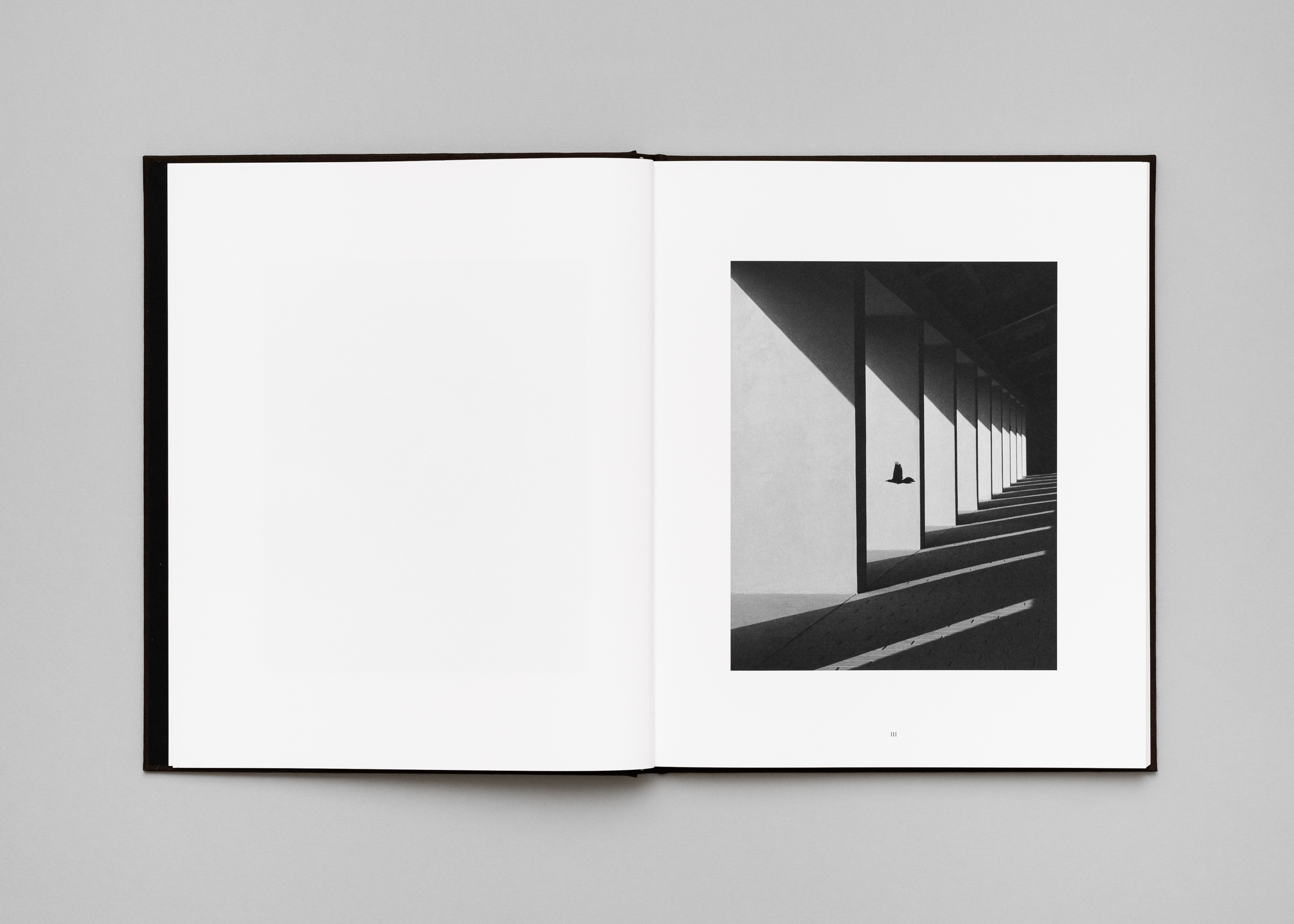 Rich Stapleton — Penumbra — Book