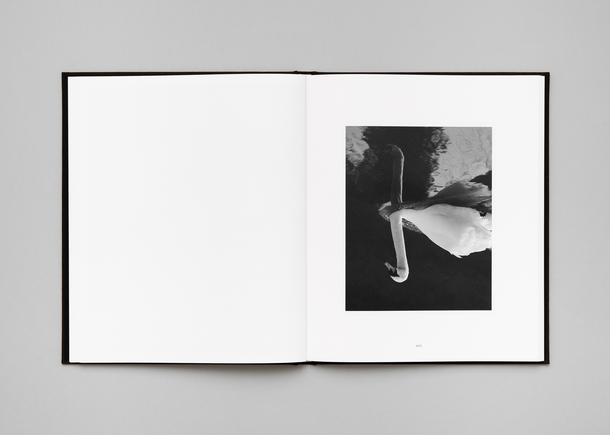 Rich Stapleton — Penumbra — Book