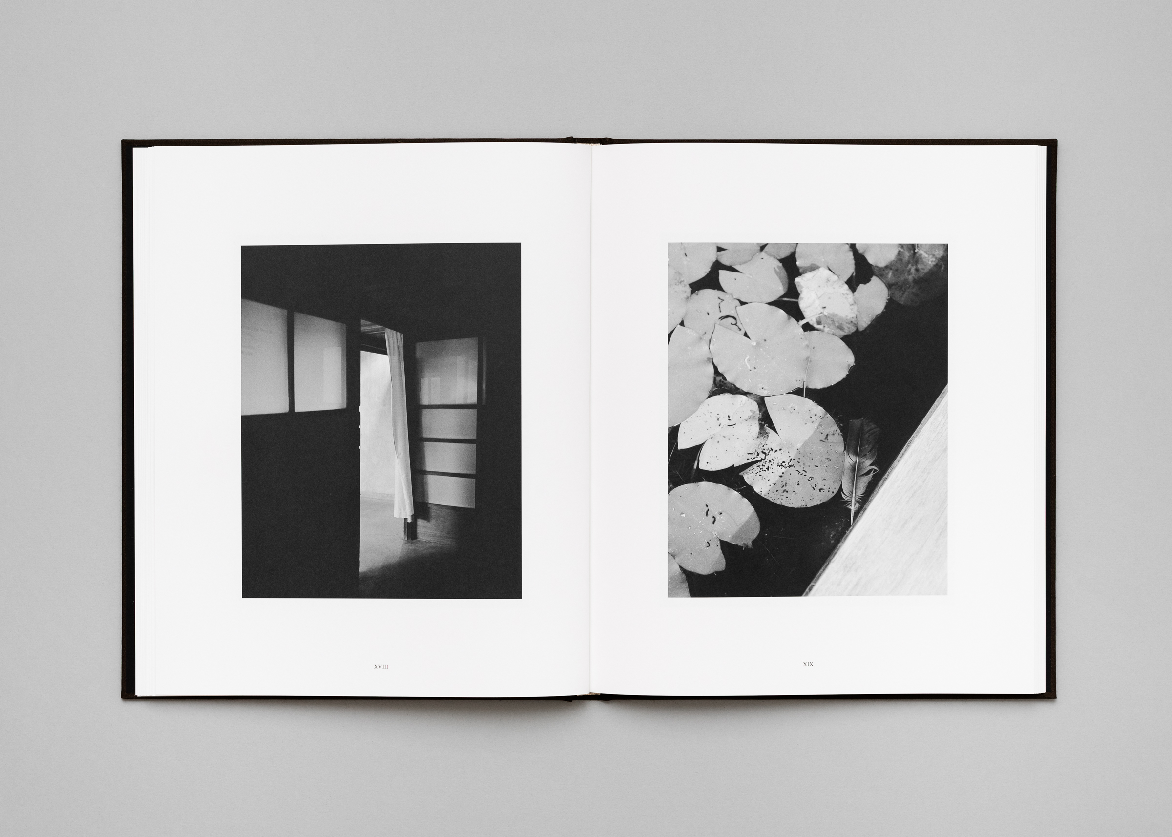 Rich Stapleton — Penumbra — Book