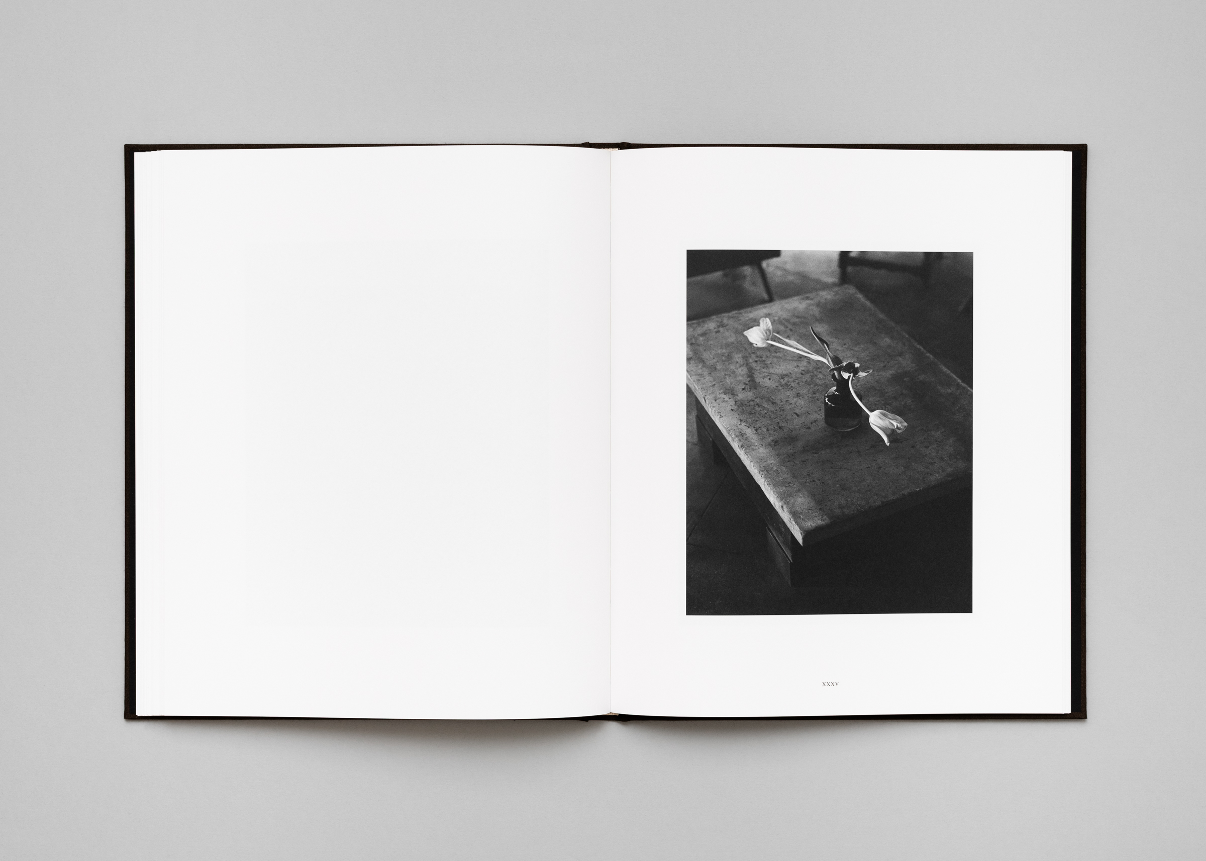 Rich Stapleton — Penumbra — Book